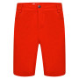 Herrenshorts Dare 2b Tuned In II Short rot Burnt Salmon