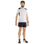 Herren-Funktionsshirt Dynafit Sky Shirt M