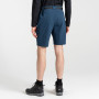 Herrenshorts Dare 2b Tuned In ProShort
