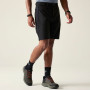 Herrenshorts Dare 2b Tuned In Pro II Short