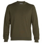 Herren-Sweatshirt Icebreaker Central Ls Sweatshirt dunkelgrün Booster