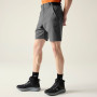 Herrenshorts Dare 2b Torrek II Short