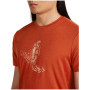 Herren T-Shirt Icebreaker Merino 150 Tech Lite Skiing Yeti