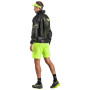 Herren Laufschuhe Dynafit Ultra 100 Gtx