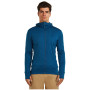 Herren Funktions-Sweatshirt Icebreaker M Mer 260 Quantum IV LS Zip Hoodie