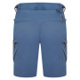 Herrenshorts Dare 2b Tuned In II Short