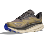 Herrenschuhe Hoka M Clifton 9 Gtx