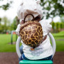 Kinderrucksack LittleLife Giraffe