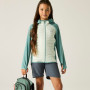 Kinderjacke Regatta Junior Andreson Hybrid IvyMossOMist