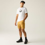 Herren-T-Shirt Regatta Fingal Graphic T-Shirt