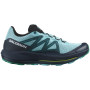 Herren Laufschuhe Salomon Pulsar Trail