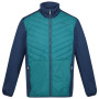Herren-Winterjacke Regatta ClumberIII Hybrid blau PacifG/Admrl