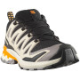 Herrenschuhe Salomon Xa Pro 3D V9