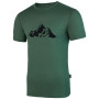Herren-T-Shirt Warg Merino Mountain 165 Short grün Green
