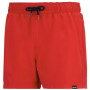 Herrenbadeanzug Regatta Mawson Swim Shorts III