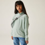 Kinder-Sweatshirt Regatta Hot Shot II