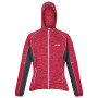 Damen-Sweatshirt Regatta Walbury IV rot PkPotion/Bry