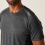 Herren-T-Shirt Regatta Corballis II