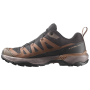 Herrenschuhe Salomon X Ultra 360 Gore-Tex