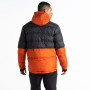 Herrenjacke Dare 2b Ollie Jacket