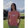 Damen-Funktionsshirt Icebreaker Women Merino 150 Tech Lite III SS Tee IB Grown Naturally