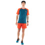 Herren-Funktionsshirt Dynafit Alpine Pro M