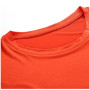 Herren-Funktionsshirt Alpine Pro Basik
