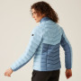 Damen-Winterjacke Regatta Women's Dalent