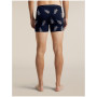 Herren funktionelle Boxershorts Icebreaker Men M 150 Anatomica Boxers BearTourAOP