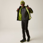 Herrenjacke Regatta Wentwood IX