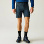 Herrenshorts Regatta Xert Stretch Shorts