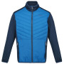 Herren-Winterjacke Regatta ClumberIII Hybrid hellblau SnorkBl/BlWg
