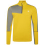 Herren Funktions-Sweatshirt Dare 2b Dignify II Core Stretch gelb AntMoss/Agav
