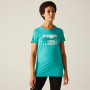 Damen-T-Shirt Regatta Fingal Stretch
