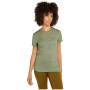 Damen-T-Shirt Icebreaker W Mer 150 Tech Lite SS T Winter Flo