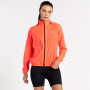 Damenjacke Dare 2b Rebound Windshell