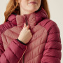 Damen-Winterjacke Regatta Women Hooded Dalent