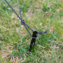 Hängematte Warg Bugshield