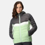 Damenjacke Regatta Womens Harrock II