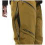 Damen-Winterhose Dynafit Ridge Gtx Pnt W