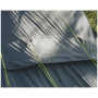 Wanderzelt Outwell Earth 3 Plus