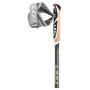 Nordic Walking Stöcke Leki Poles Traveller Carbon