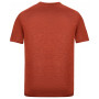 Herren-T-Shirt Regatta Fingal Edition