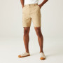 Herrenshorts Regatta Dalry Short