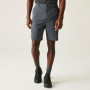 Herrenshorts Regatta Dalry Short