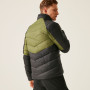 Herrenjacke Regatta Dalent