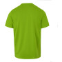 Herren-T-Shirt Regatta Fingal Stretch