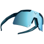 Sonnenbrille Dynafit Ultra Evo Sunglasses blau blueberry/storm blue
