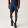 Herrenshorts Regatta Dalry Short