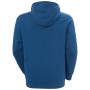 Herren-Sweatshirt Helly Hansen HH Logo Hoodie